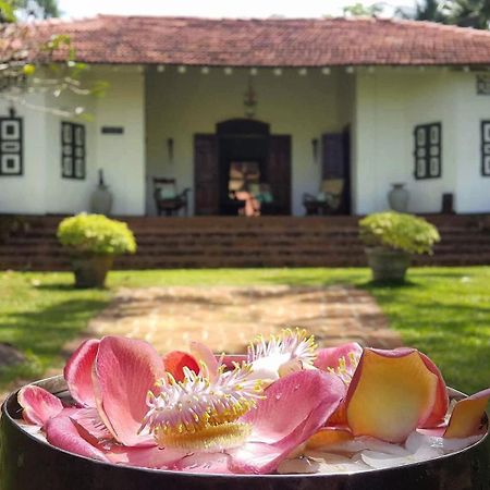 Templeberg Bed and Breakfast Walahanduwa Buitenkant foto