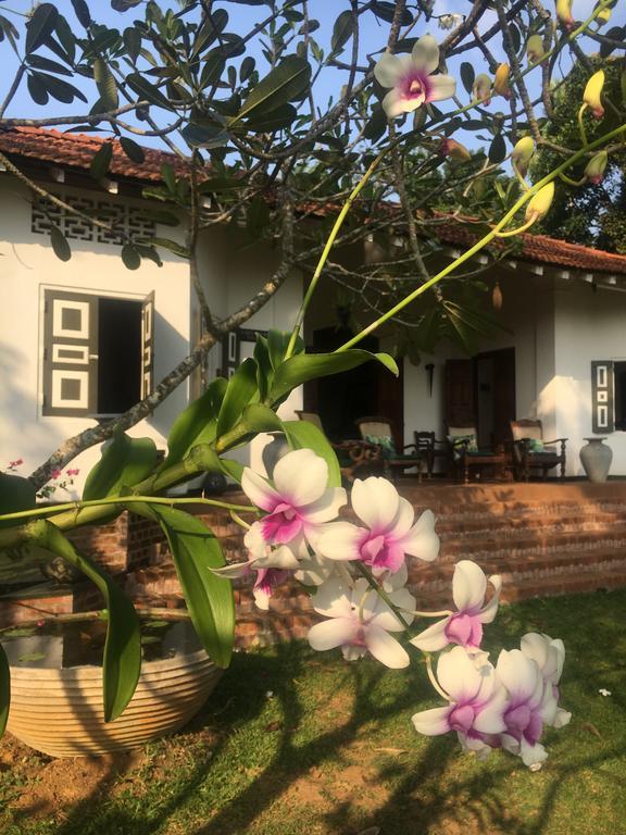 Templeberg Bed and Breakfast Walahanduwa Buitenkant foto