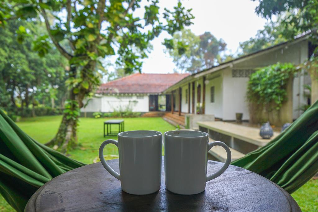 Templeberg Bed and Breakfast Walahanduwa Buitenkant foto
