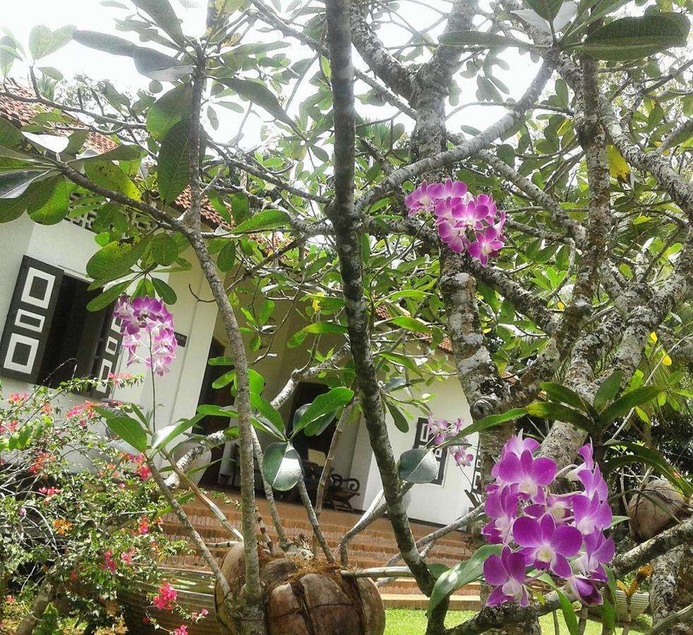 Templeberg Bed and Breakfast Walahanduwa Buitenkant foto