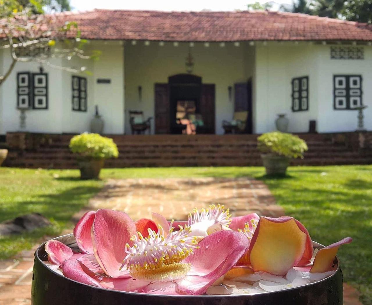 Templeberg Bed and Breakfast Walahanduwa Buitenkant foto