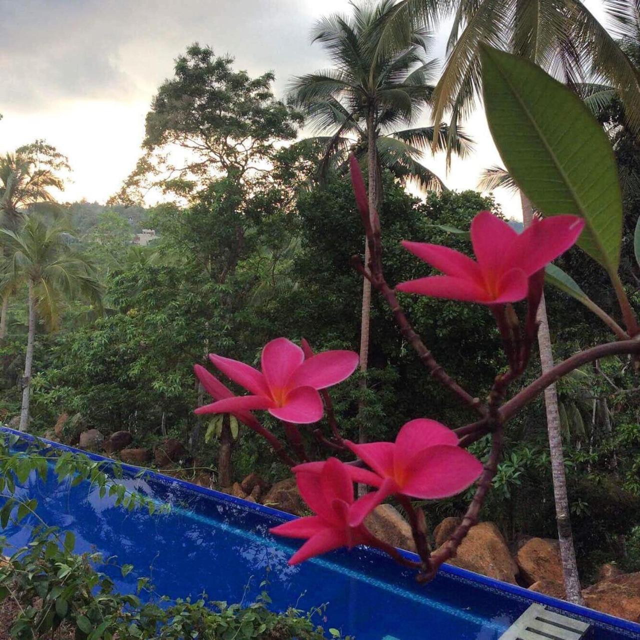 Templeberg Bed and Breakfast Walahanduwa Buitenkant foto